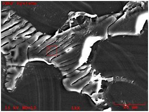 無(wú)機(jī)異物分析