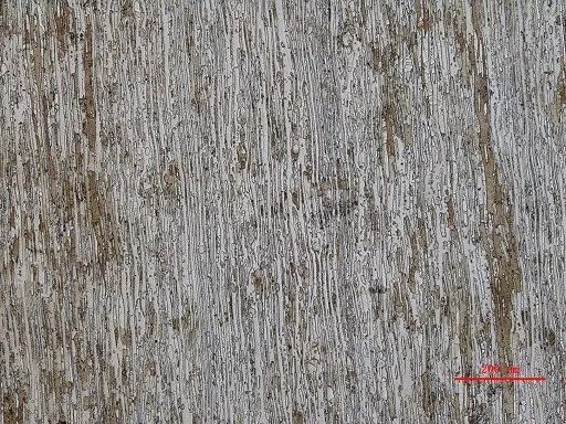 2c4d2124f63ad23842d3f50938cf824f_2cb3c513-f28f-4fa8-a865-4816f5f0df80.jpg 2c4d2124f63ad23842d3f50938cf824f_2cb3c513-f28f-4fa8-a865-4816f5f0df80.jpg